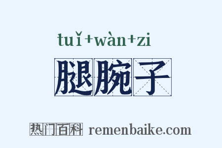 腿腕子是什么意思的图片